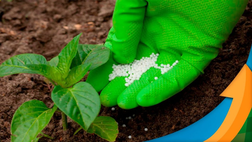Preços dos fertilizantes se aproximam dos patamares recordes de 2008 e sem perspectivas de melhora em curto e médio prazos