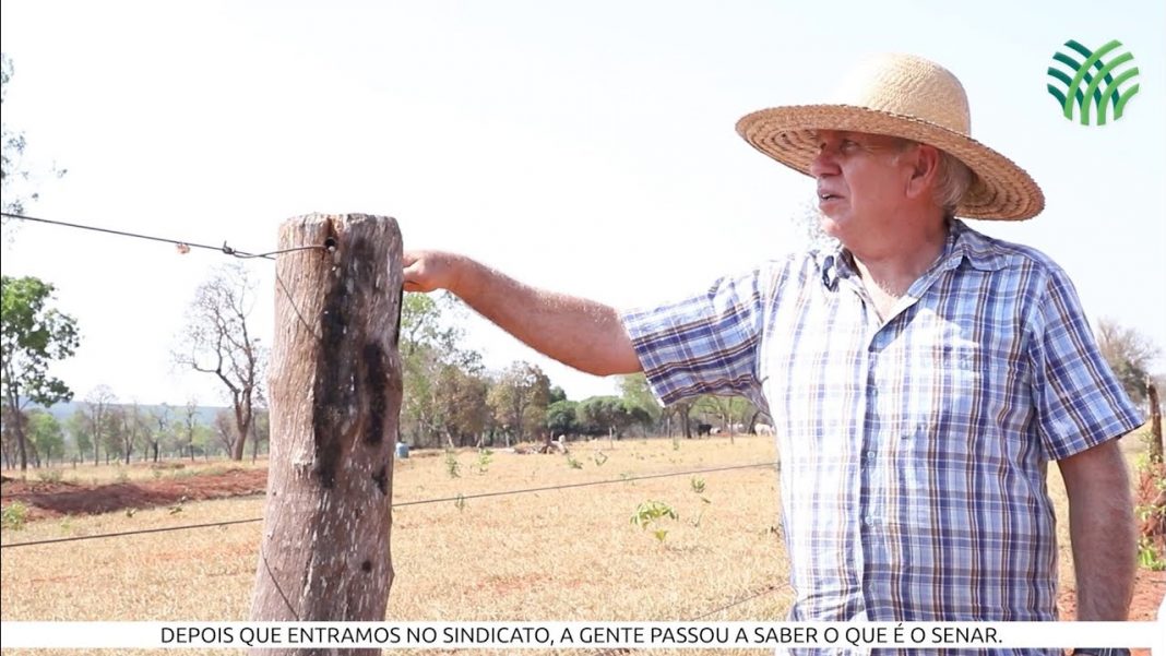 Produtor muda estratégia e aumenta produtividade após visita técnica