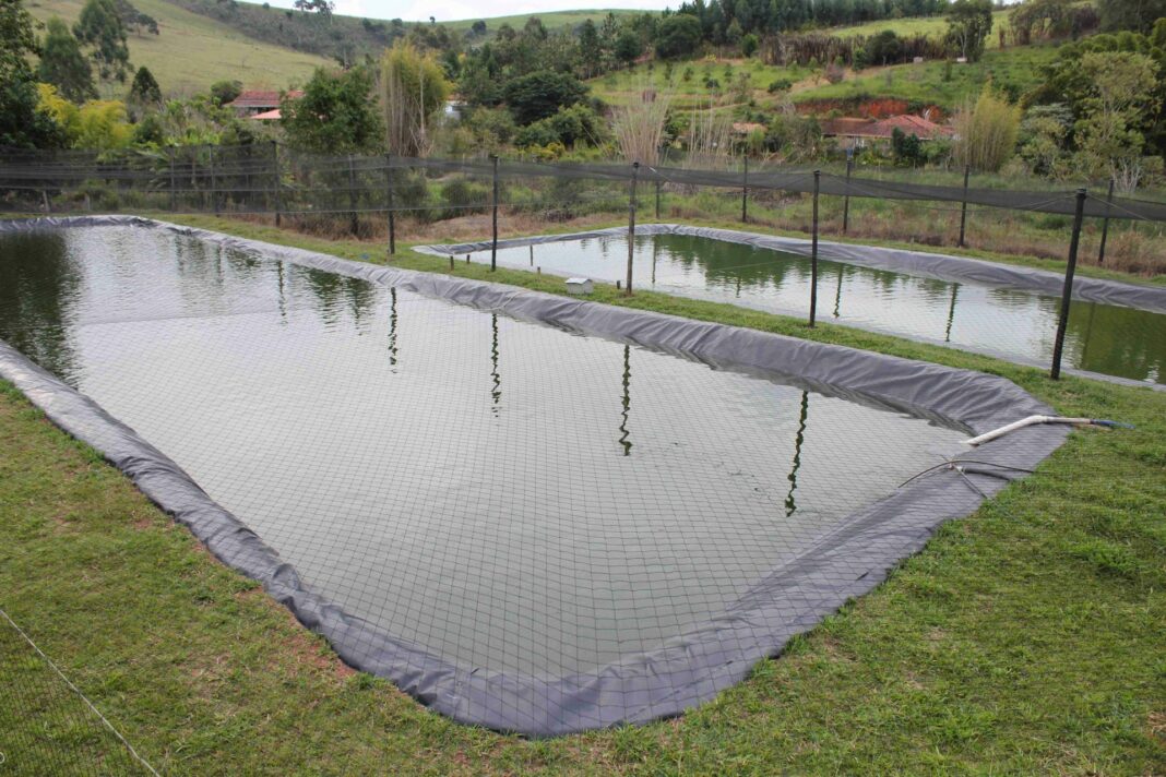 Em Dourados, projetos de piscicultura que somem até dois hectares de lâminas d’água estão isentos de licença ambiental – Foto: Arquivo.