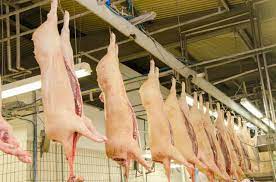 Preço da Carne Suína Sobem Com Oferta Ajustada ao Mercado