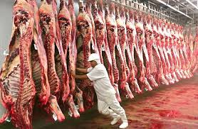 Exportação de Carne Brasileira em 2025: Desafios e Oportunidades para Sustentar a Liderança Mundial