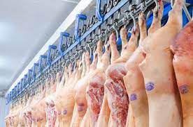 Em 13 dias úteis, exportações de carne suína superam receita de todo o mês de março de 2024