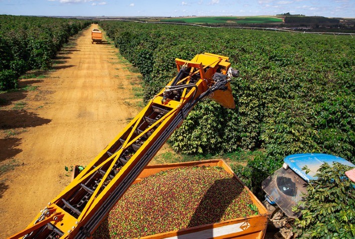 Cenário do Café em 2024: Volatilidade de Preços e Desafios no Mercado Global