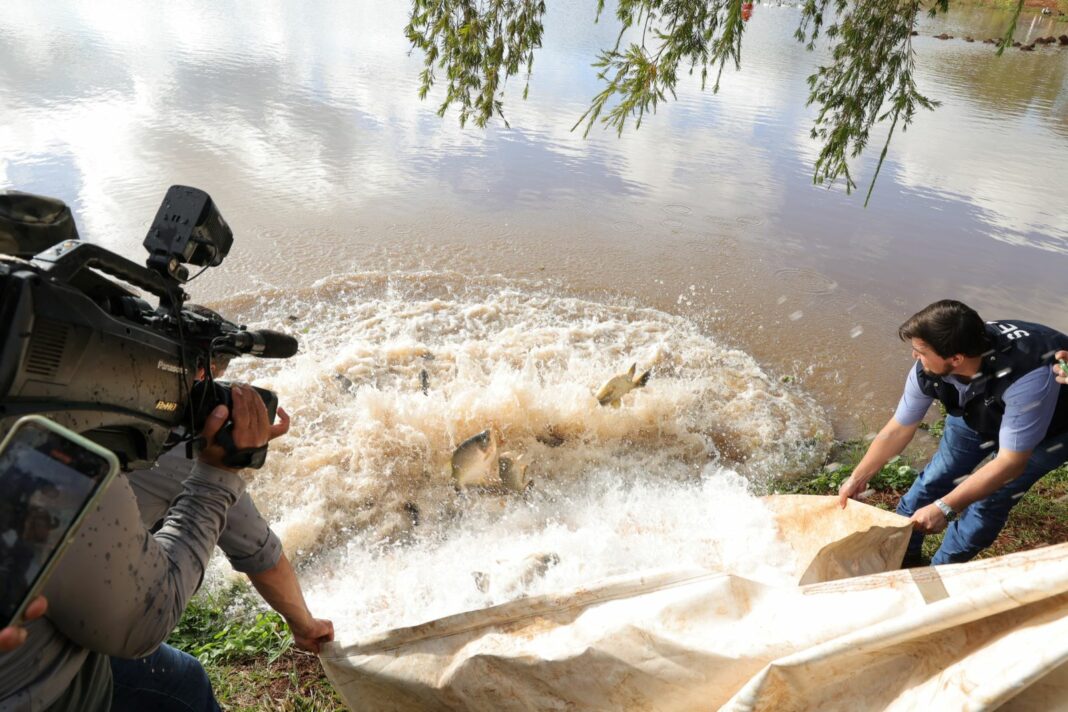 Lago recebeu 2,5 toneladas de peixe e regras para pescaria serão fiscalizadas com rigor. Foto: A. Frota.
