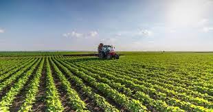 Mato Grosso do Sul deve colher 14,6 milhões de toneladas de soja nesta safra, que está quase no fim da colheita