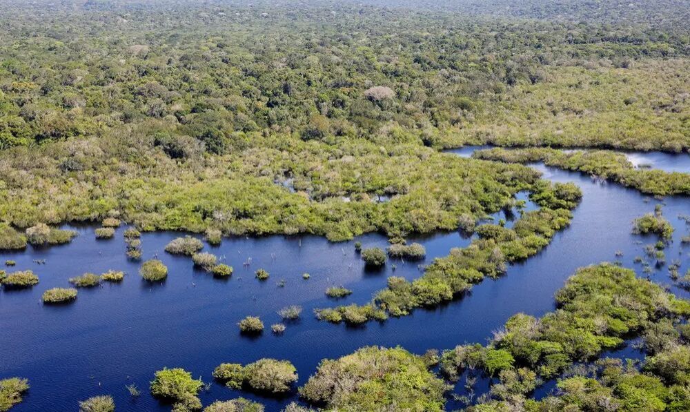Um dos biomas brasileiro (Foto: Fábio Rodrigues-Pozzebom/ABr).