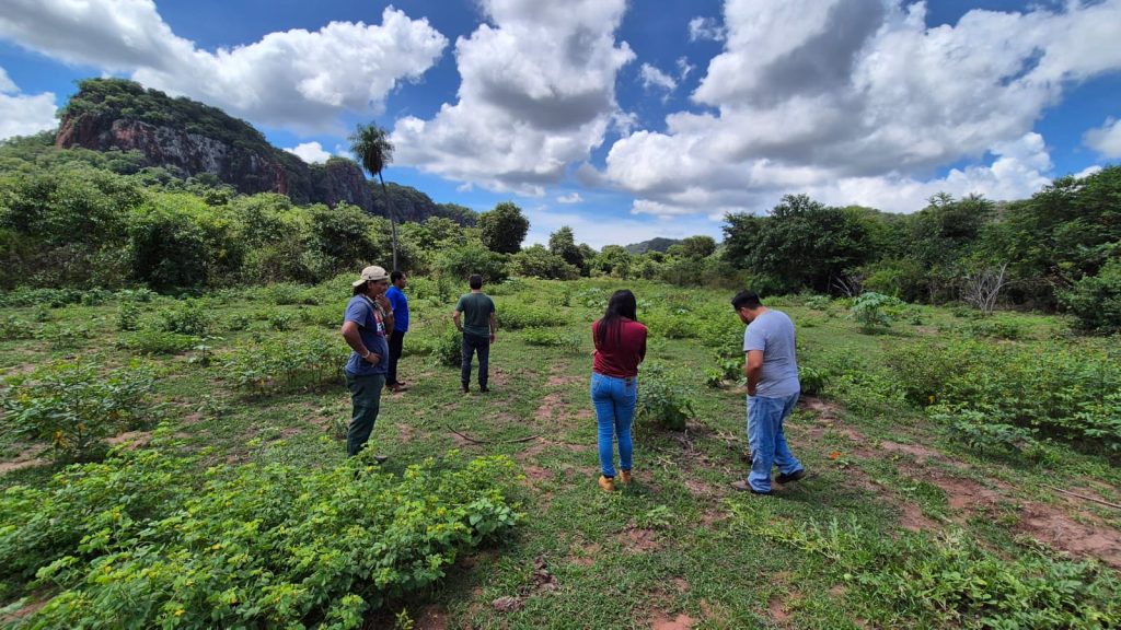 Projeto 'Semeando o Futuro' é uma iniciativa que busca reflorestar a terra dos Terena, valorizando sua cultura indígena e garantindo alimentos para a comunidade Projeto 'Semeando o Futuro' é uma iniciativa que busca reflorestar a terra dos Terena, valorizando sua cultura indígena e garantindo alimentos para a comunidade