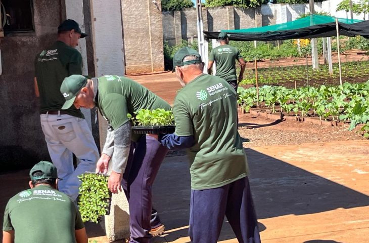 Capacitação em horticultura no presídio de Caarapó impulsiona geração de alimentos para instituições assistenciais