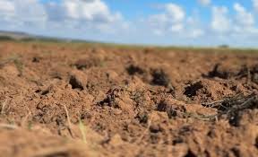 Programa Solo Vivo vai recuperar áreas degradadas e fortalecer a agricultura familiar em Mato Grosso