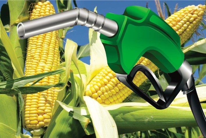 Mato Grosso bate recorde na produção de etanol na safra 2024/25, superando Goiás e assumindo a segunda posição entre os maiores produtores do país.