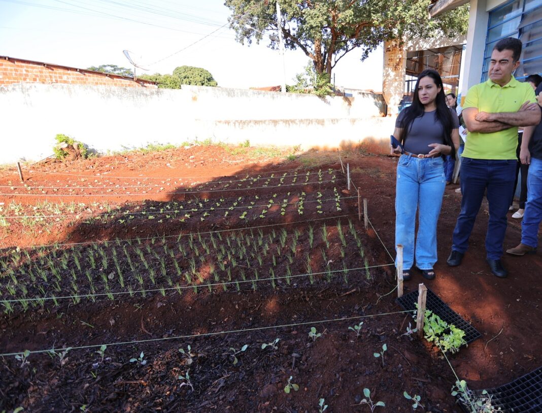 Projeto de hortas agroecológicas está sendo desenvolvido pela Secretaria de Agricultura Familiar em diversas escolas de Dourados e em outros espaços públicos (Foto: divulgaçõa).
