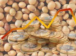 Maio termina com preços da soja estáveis, enquanto o foco do mercado se volta para o início do plantio nos Estados Unidos em junho