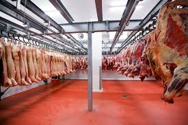 Exportações de carne bovina somam 117,2 mil toneladas até a segunda semana de junho