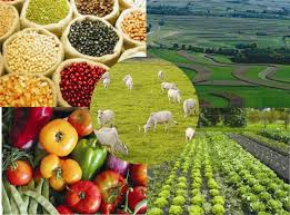 Agronegócio deverá impulsionar o Produto Interno Bruto (PIB) de Mato Grosso do Sul, com uma expectativa de crescimento de 5,5% neste ano