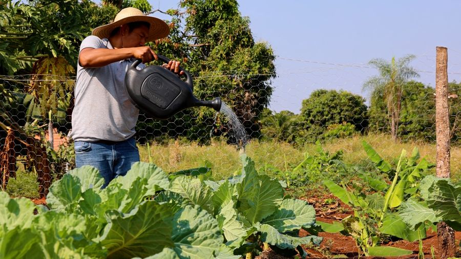 Flaviomir de Souza gosta de dizer que, antes de ganhar novos caminhos, a aldeia La Lima, em Miranda, era cercada por mato, silêncio e uma plantação de mandioca que parecia esquecida no tempo. (Foto: Divulgação).