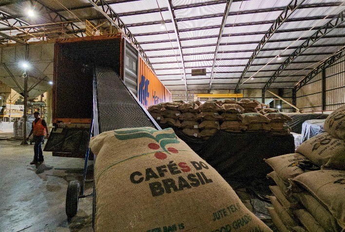 Exportações de café do Brasil recuam 17,5% em agosto, mas receita cresce 12,7%