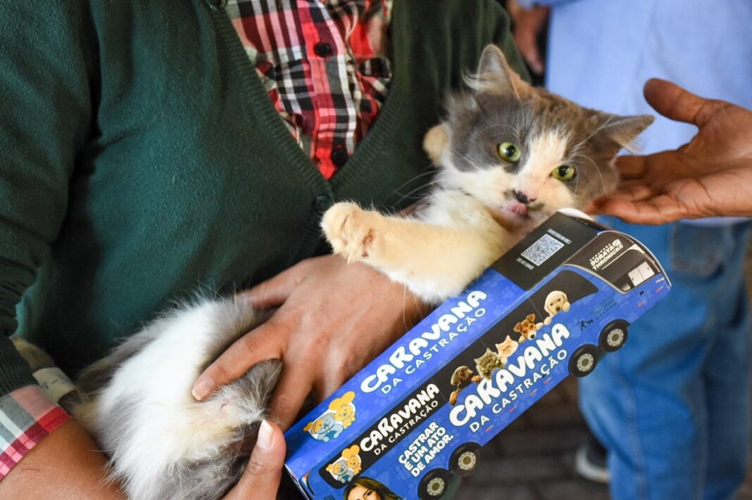 Caravana da Castração chegará em Dourados em novembro para castrar 1.500 cães e gatos- Divulgação/ Assecom.