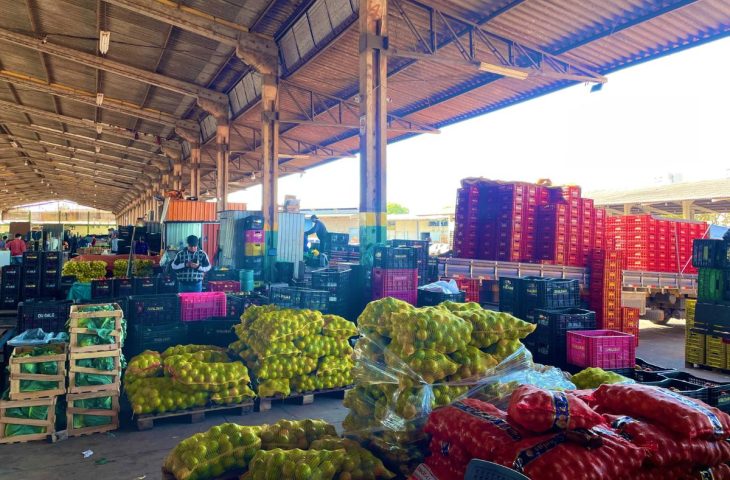 MS amplia participação na Ceasa com alta de 18,7% no volume comercializado