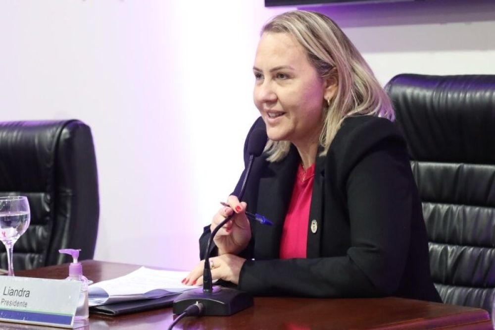 A vereadora Liandra da Saúde, presidente da Câmara. (Foto: Divulgação).