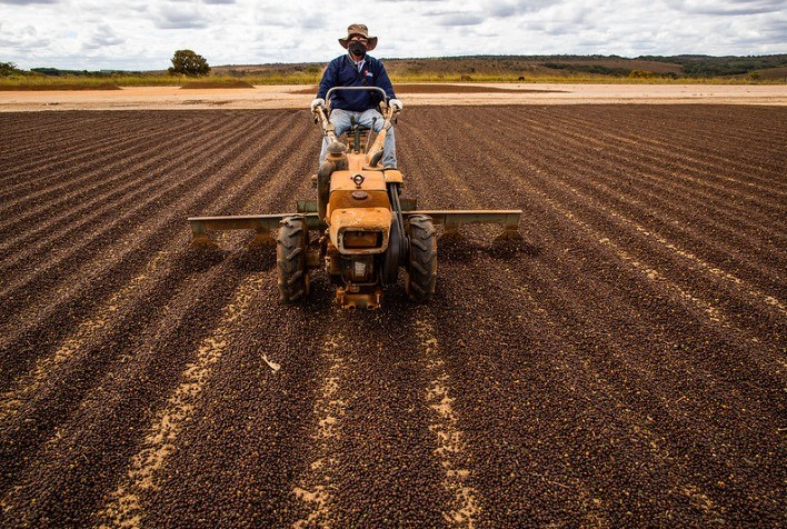 Mercado de café mantém volatilidade com clima no Brasil e negociações comerciais EUA-Brasil