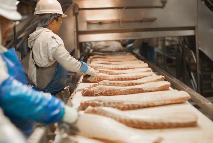 Exportações de carne suína crescem em volume e faturamento no Brasil
