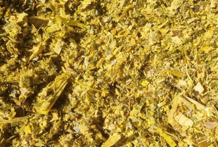 Silagem de qualidade: alimento certo para produtividade no campo