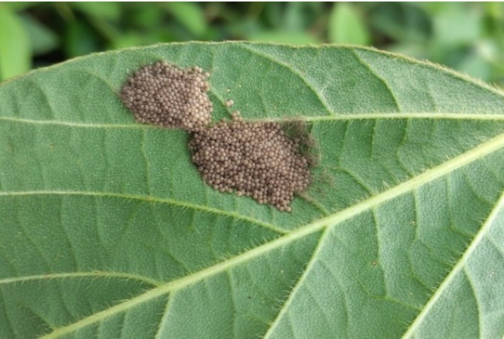 Foto: Grupo Conceito