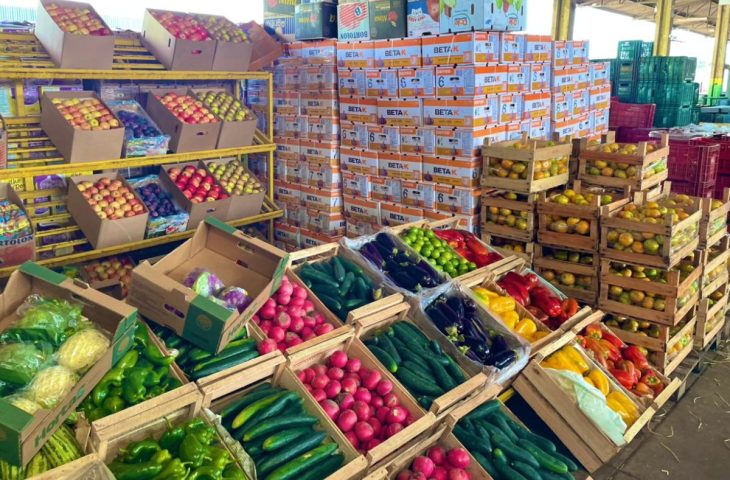 Ceasa-MS celebra 46 anos com expansão nas vendas, modernização e impacto social