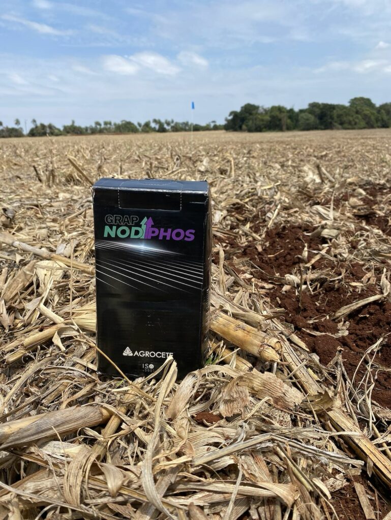Inovador biológico 3 em 1 amplia registro para o milho e possibilita redução dos fertilizantes minerais com ganhos de 18 sacas por hectare