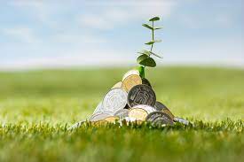 Crédito mais caro e inadimplência desafiam o agronegócio, que aposta em inovação e gestão de risco para se reinventar