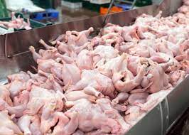 Exportações de carne de frango crescem em outubro e registram segundo maior volume da série histórica, aponta Cepea