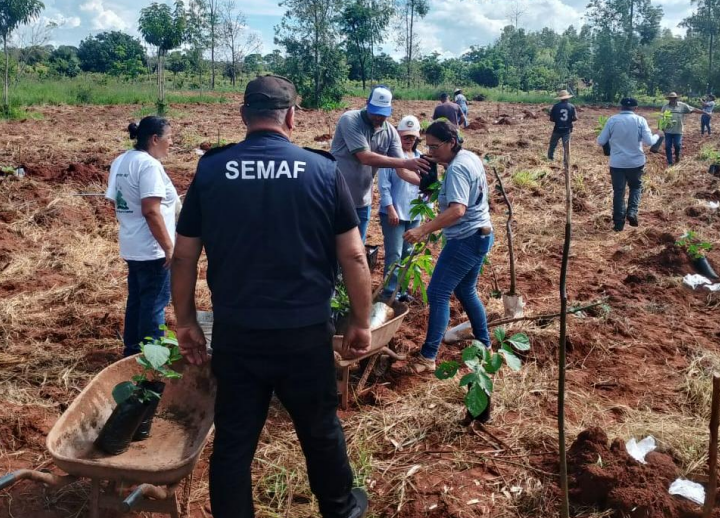 Prefeitura transforma o campo, fortalece feiras e impulsiona a agricultura familiar em 11 meses