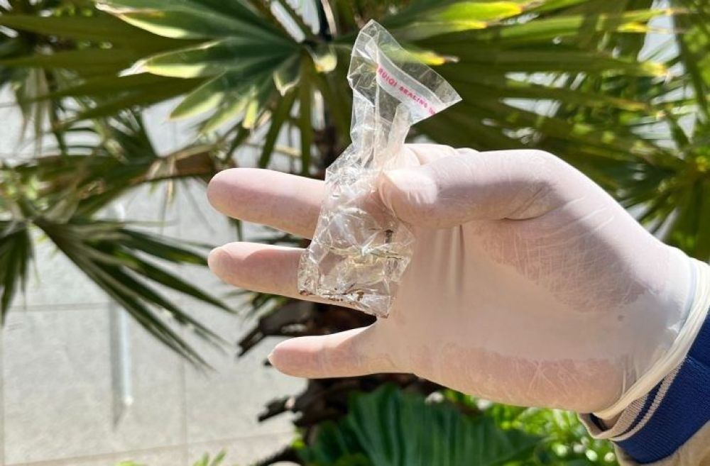 Cresce o número de casos de Dengue em MS. (Foto: Kamilla Ratier/Gov).