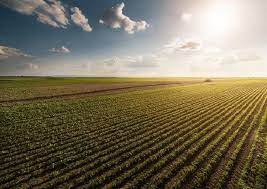 Agro de MS cresce 18% em 2025 e consolida Estado em posição estratégica no país