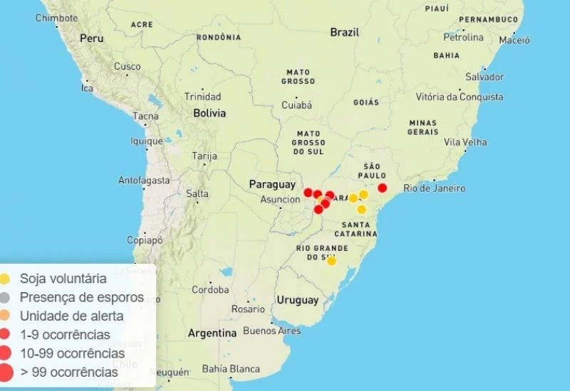 Safra 25/26: MS confirma primeiro foco de ferrugem asiática em lavoura comercial