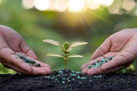 Com 25% das importações brasileiras, China assume liderança no fornecimento de fertilizantes e pressiona custos de produção no campo.