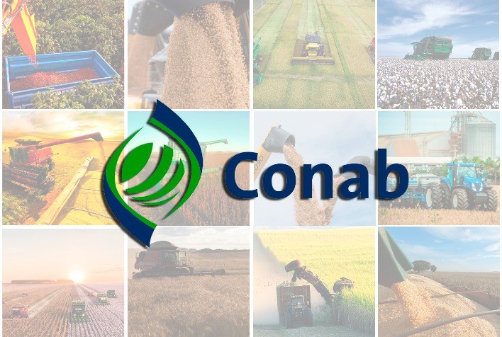 Levantamento da Conab aponta que a safra de grãos 2025/26 deve atingir 353,1 milhões de toneladas, com expansão da área plantada e destaque para soja e sorgo, apesar dos desafios climáticos enfrentados pelo milho.