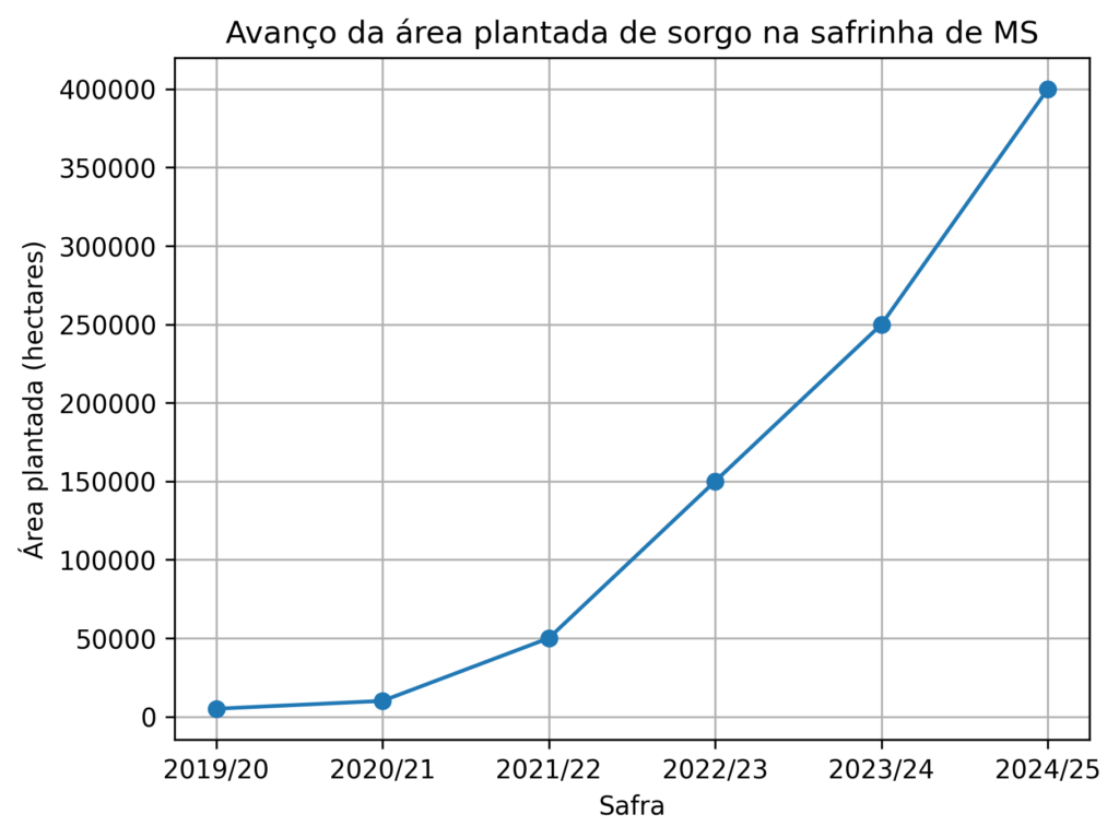Sorgo deixa de ser alternativa e ganha protagonismo na safrinha de Mato Grosso do Sul Sorgo deixa de ser alternativa e ganha protagonismo na safrinha de Mato Grosso do Sul