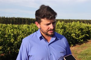 Citricultura se consolida como nova fronteira agrícola e deve injetar R$ 2,4 bilhões na economia de MS Citricultura se consolida como nova fronteira agrícola e deve injetar R$ 2,4 bilhões na economia de MS