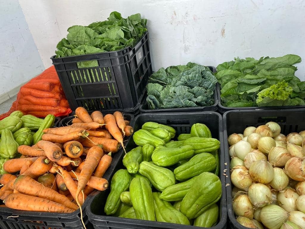 Prefeitura visa garantir alimentação saudável e de qualidade aos alunos da Reme e interessados devem se inscrever em fevereiro- Crédito: Assecom