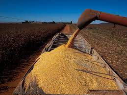 Se confirmada, a produção representará novo recorde para o país