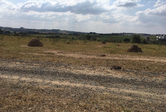 Pastagens degradadas avançam em estados da fronteira agrícola e revelam desigualdades no acesso a crédito e assistência técnica no campo.
