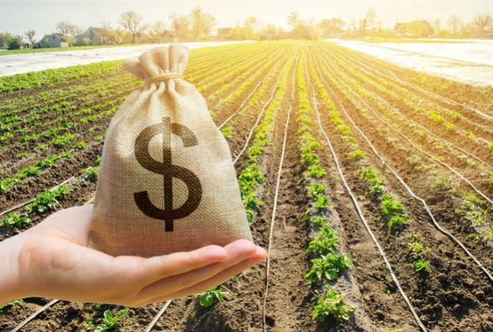 Crédito rural em alerta: possível restrição do BB a produtores em recuperação judicial preocupa o agronegócio