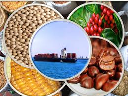 Marcas do Agro Brasileiro Avançam no Mercado Internacional e Apostam em Exportações de Valor Agregado