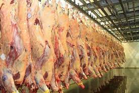 Exportações de carnes mantêm bom desempenho em março com destaque para aves e suínos, aponta Secex