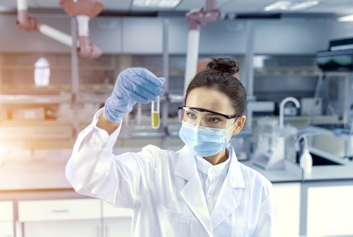 Técnica moderna melhora fertilidade de éguas com problemas uterinos.