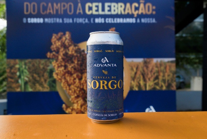Sorgo ganha espaço na indústria de bebidas e mostra potencial para cerveja sem glúten no Brasil