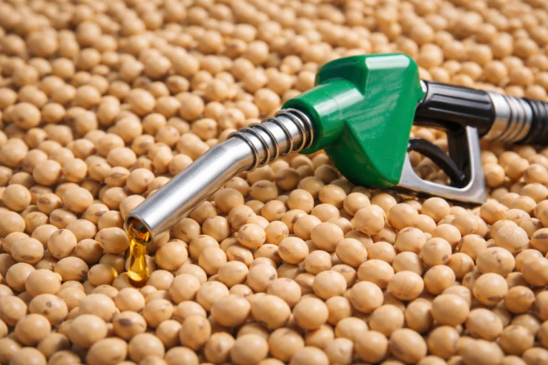 Biodiesel amplia uso da soja além da alimentação e exportação