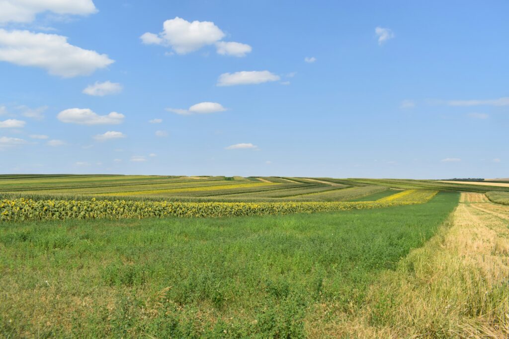 Logística de grãos no Brasil: estudo da nstech aponta gargalos históricos; investimento em tecnologia é solução