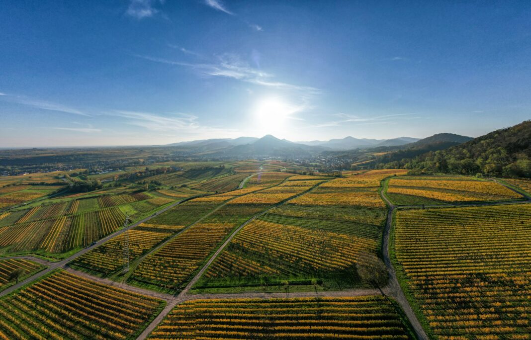 Logística de grãos no Brasil: estudo da nstech aponta gargalos históricos; investimento em tecnologia é solução